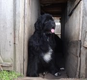 Превью фото № 230219