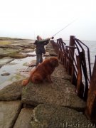 Превью фото № 230292