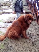 Превью фото № 230293