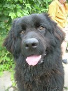 Превью фото № 230340