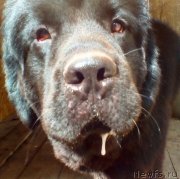 Превью фото № 230384