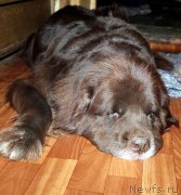 Превью фото № 230415