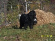 Превью фото № 230417