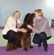 Превью фото № 230424