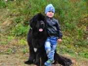 Превью фото № 230430