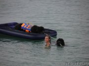 Превью фото № 230442