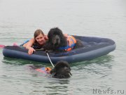 Превью фото № 230443