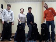 Превью фото № 230446