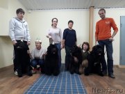 Превью фото № 230447