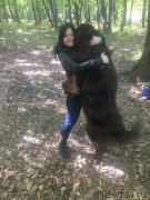 Превью фото № 230486