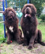 Превью фото № 230508