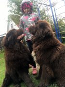 Превью фото № 230509