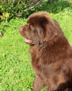 Превью фото № 230510