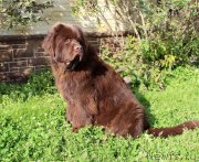 Превью фото № 230516