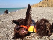 Превью фото № 230523