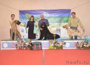 Превью фото № 230582