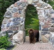 Превью фото № 230599