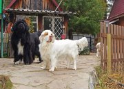 Превью фото № 230610