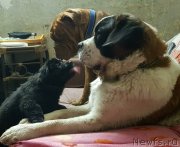 Превью фото № 230653