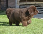 Превью фото № 230712