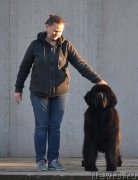 Превью фото № 230720