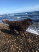 Превью фото № 230724