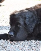 Превью фото № 230783