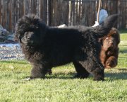 Превью фото № 230793