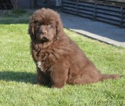 Превью фото № 230796