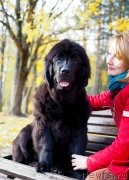 Превью фото № 230861