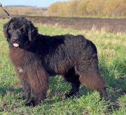 Превью фото № 230876