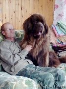 Превью фото № 230888