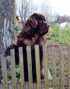 Превью фото № 230890