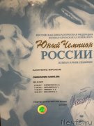 Превью фото № 230922