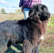 Превью фото № 230942