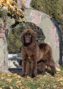 Превью фото № 230955