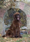 Превью фото № 230957