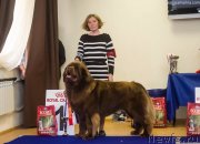 Превью фото № 230961