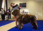 Превью фото № 230962