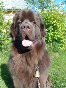 Превью фото № 231007