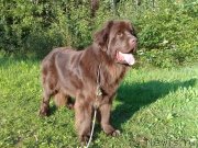 Превью фото № 231008