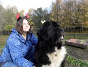 Превью фото № 231009