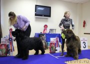 Превью фото № 231084