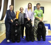 Превью фото № 231089