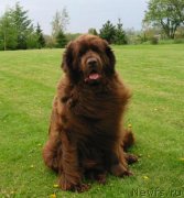 Превью фото № 231091