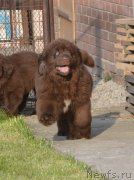 Превью фото № 231102