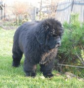 Превью фото № 231107