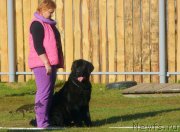 Превью фото № 231144