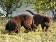 Превью фото № 231184