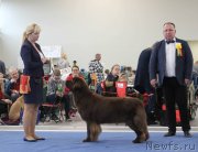 Превью фото № 231306